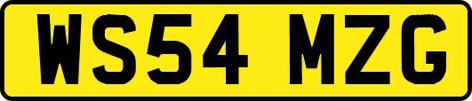 WS54MZG