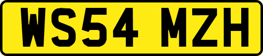 WS54MZH