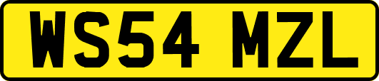 WS54MZL