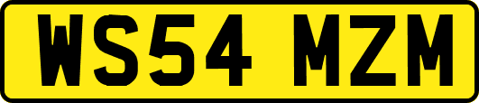 WS54MZM