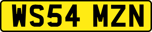 WS54MZN