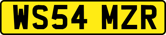 WS54MZR
