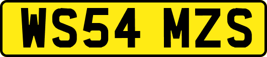 WS54MZS