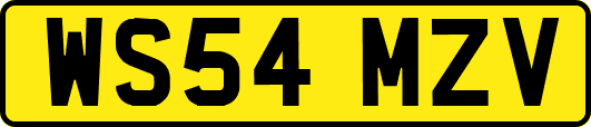 WS54MZV
