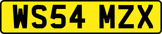 WS54MZX