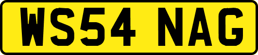 WS54NAG