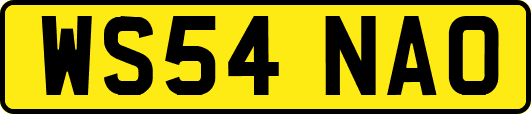 WS54NAO