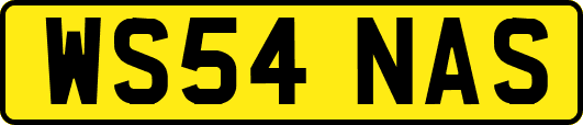 WS54NAS