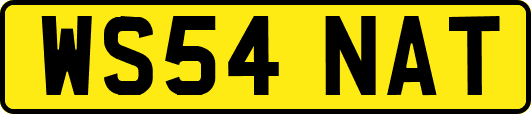 WS54NAT