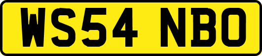 WS54NBO