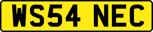 WS54NEC