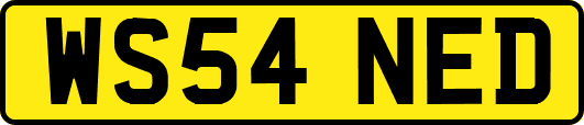 WS54NED