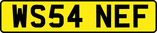 WS54NEF