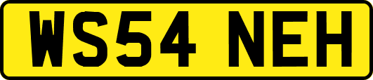 WS54NEH