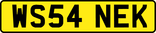 WS54NEK