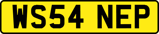 WS54NEP