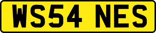 WS54NES