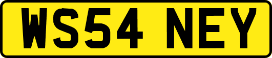 WS54NEY
