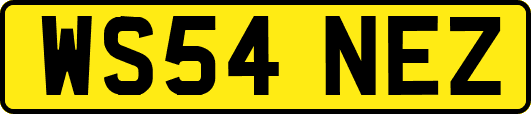 WS54NEZ