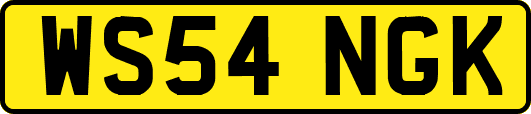 WS54NGK