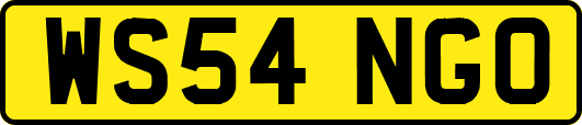 WS54NGO