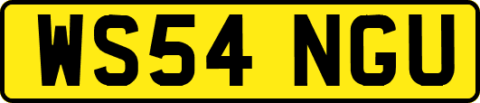 WS54NGU