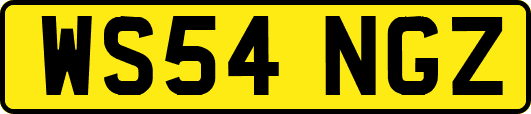 WS54NGZ