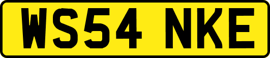 WS54NKE