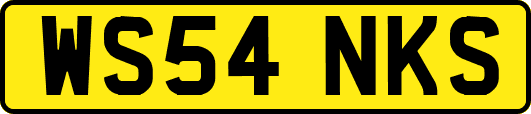 WS54NKS