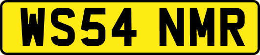WS54NMR