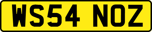 WS54NOZ