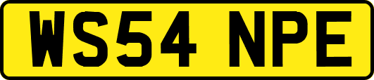 WS54NPE