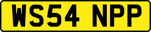 WS54NPP