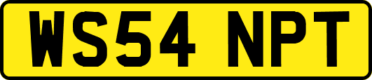 WS54NPT