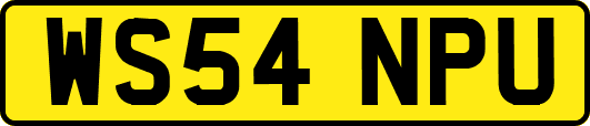 WS54NPU