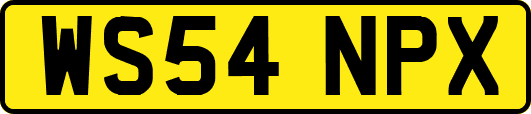WS54NPX