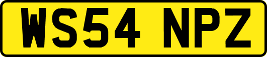 WS54NPZ