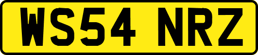 WS54NRZ