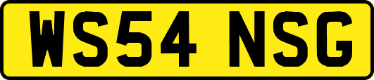 WS54NSG