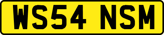 WS54NSM