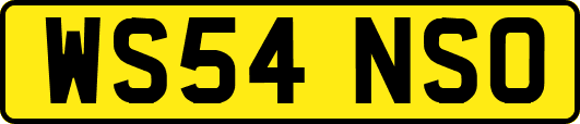 WS54NSO