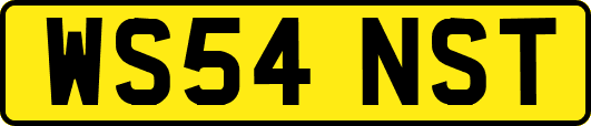 WS54NST