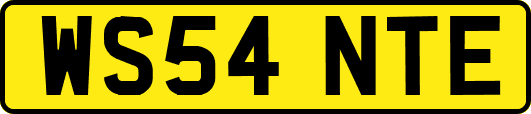 WS54NTE