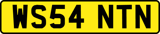 WS54NTN