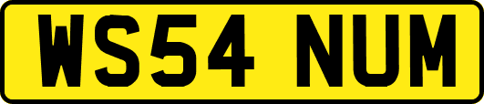 WS54NUM