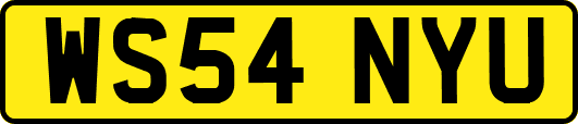 WS54NYU