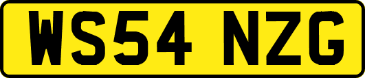 WS54NZG
