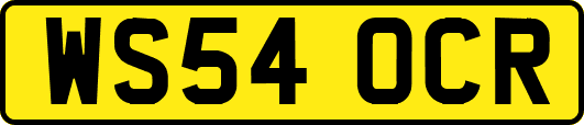 WS54OCR