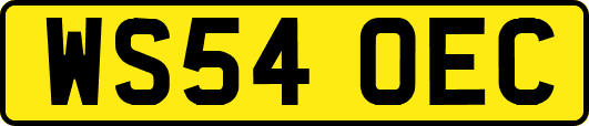 WS54OEC