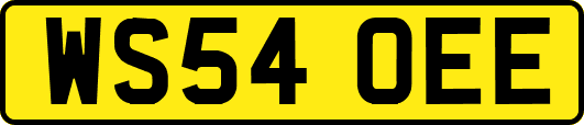 WS54OEE